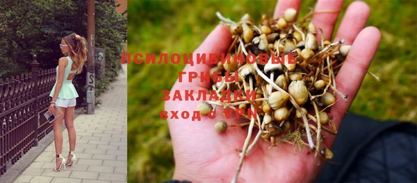 героин Алзамай
